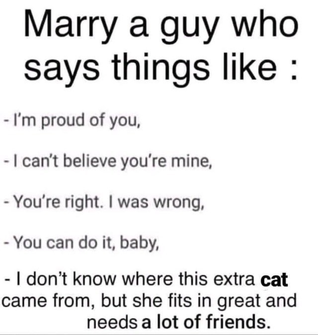 Marry a guy who says things like : -I'm proud of you, - I can't believe you're mine, -You're right. I was wrong, -You can do it, baby, - I don't know where this extra cat came from, but she fits in great and needs a lot of friends.
