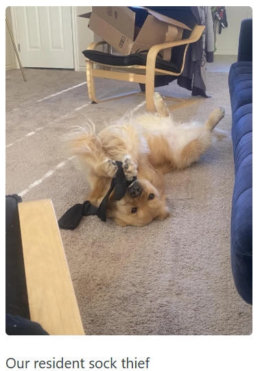 Our resident sock thief