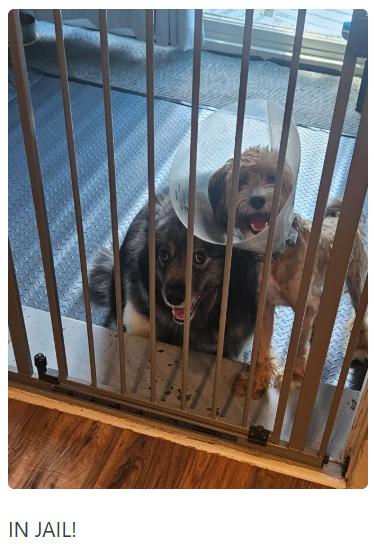 IN JAIL!