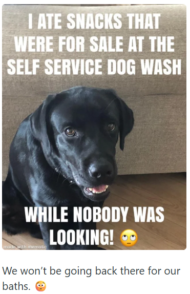 I ATE SNACKS THAT WERE FOR SALE AT THE SELF SERVICE DOG WASH WHILE NOBODY WAS made with mematic LOOKING! We won't be going back there for our baths.