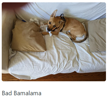 Bad Bamalama
