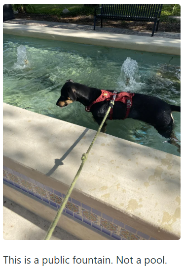 This is a public fountain. Not a pool.
