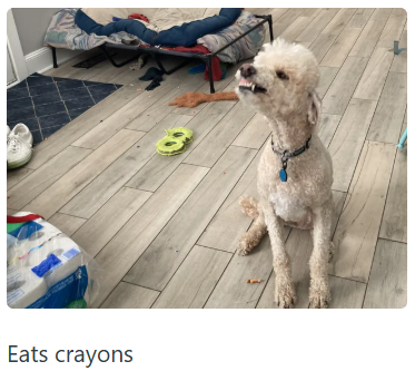 Eats crayons