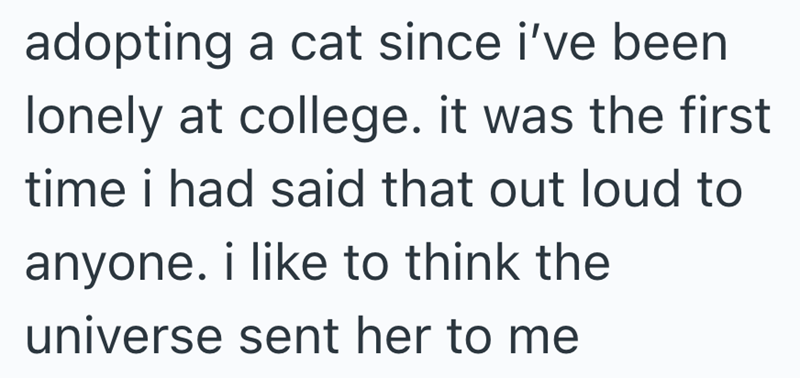 adopting a cat since i've been lonely at college. it was the first time i had said that out loud to anyone. i like to think the universe sent her to me