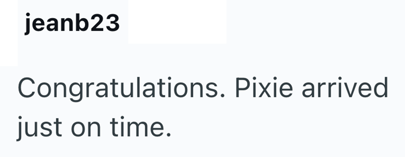 jeanb23 Congratulations. Pixie arrived just on time.