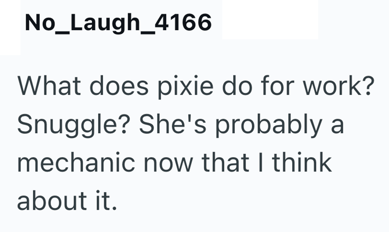 No_Laugh_4166 What does pixie do for work? Snuggle? She's probably a mechanic now that I think about it.