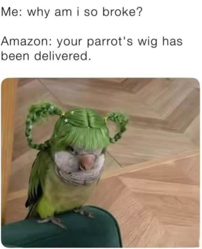 Me: why am i so broke? Amazon: your parrot's wig has been delivered.