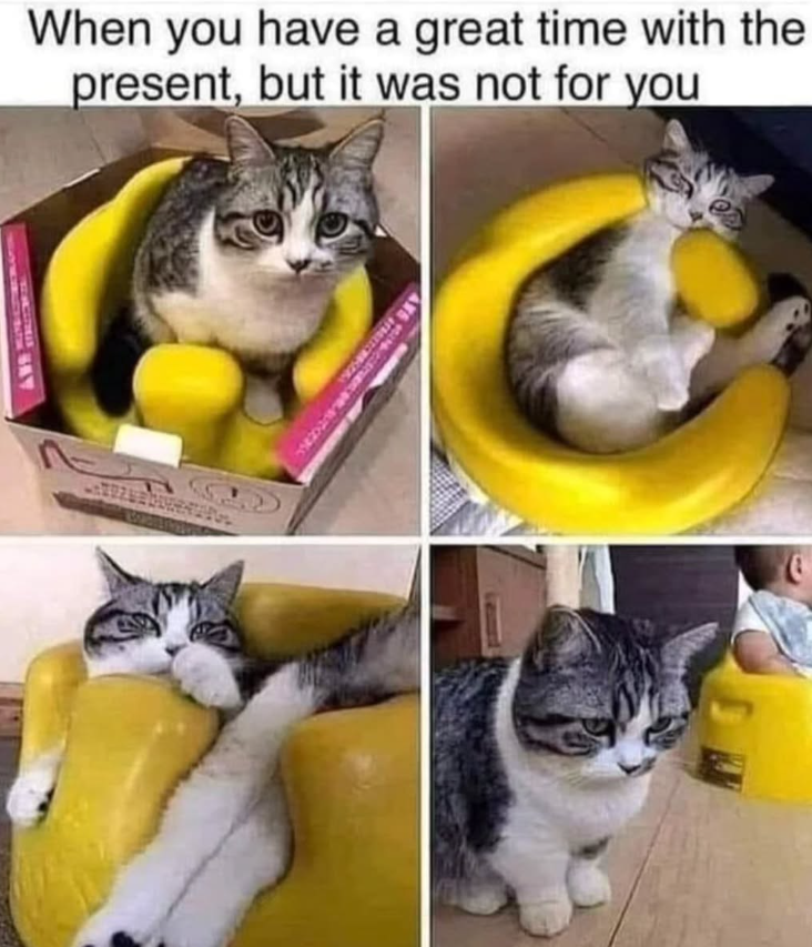 When you have a great time with the present, but it was not for you リン