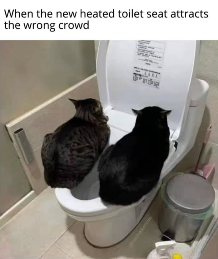 When the new heated toilet seat attracts the wrong crowd plevmode