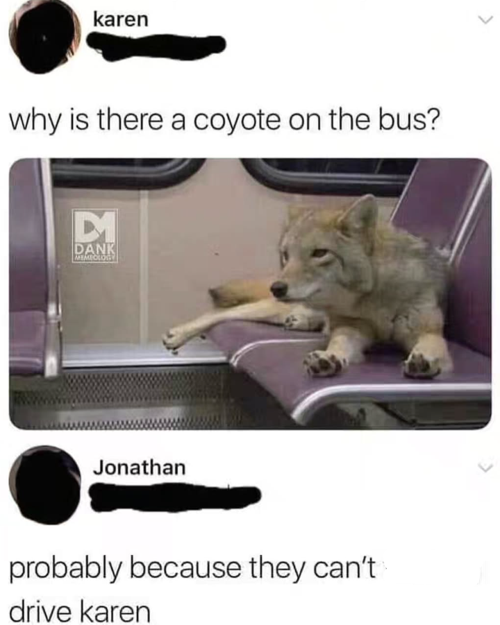 karen why is there a coyote on the bus? D1 DANK MEMEOLOGY Jonathan probably because they can't drive karen