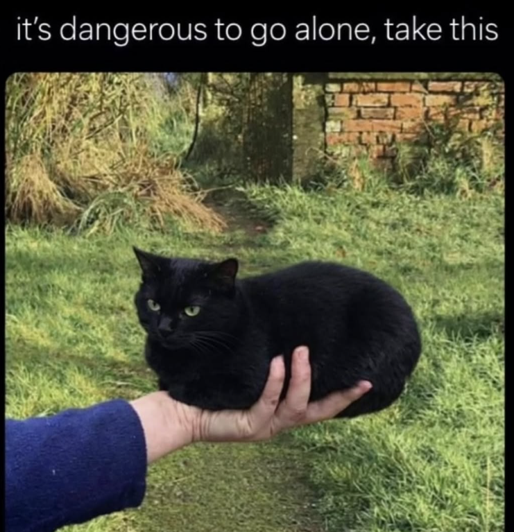 it's dangerous to go alone, take this