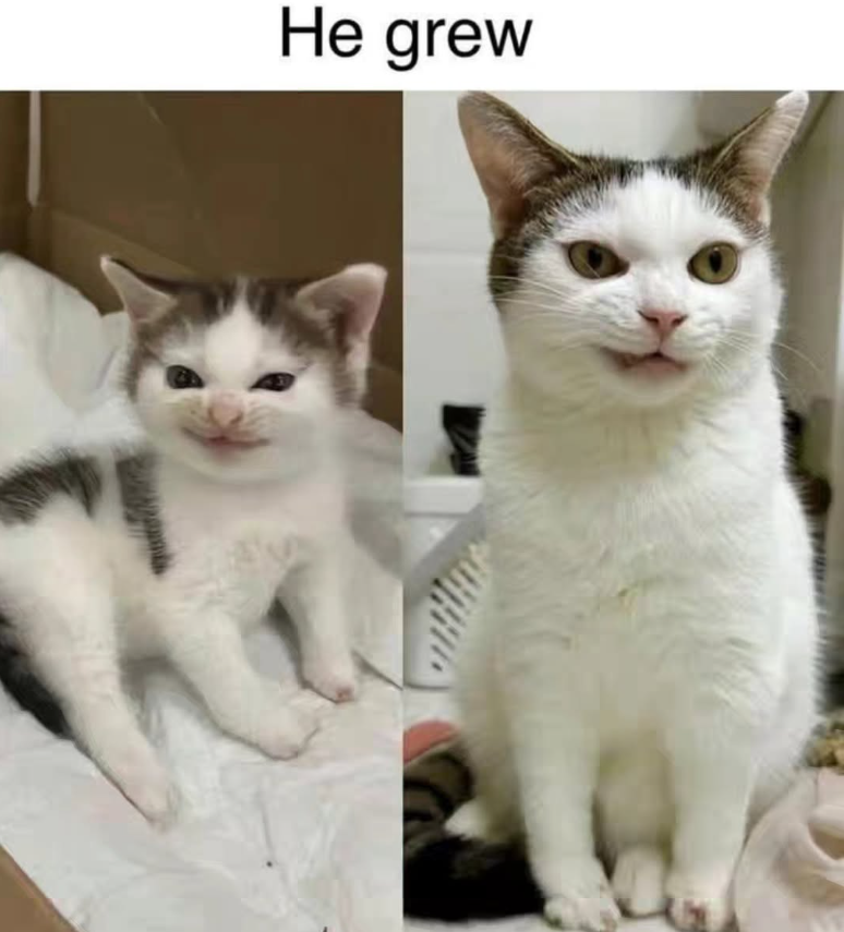 He grew