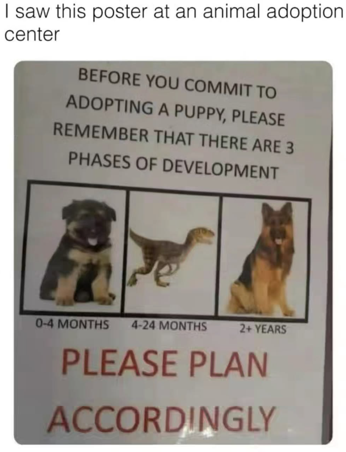 I saw this poster at an animal adoption. center BEFORE YOU COMMIT TO ADOPTING A PUPPY, PLEASE REMEMBER THAT THERE ARE 3 PHASES OF DEVELOPMENT 0-4 MONTHS 4-24 MONTHS 2+ YEARS PLEASE PLAN ACCORDINGLY