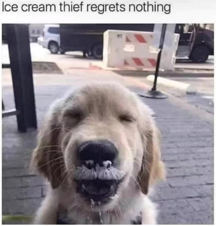 Ice cream thief regrets nothing