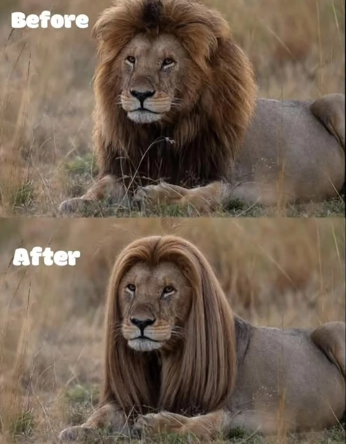 Before After