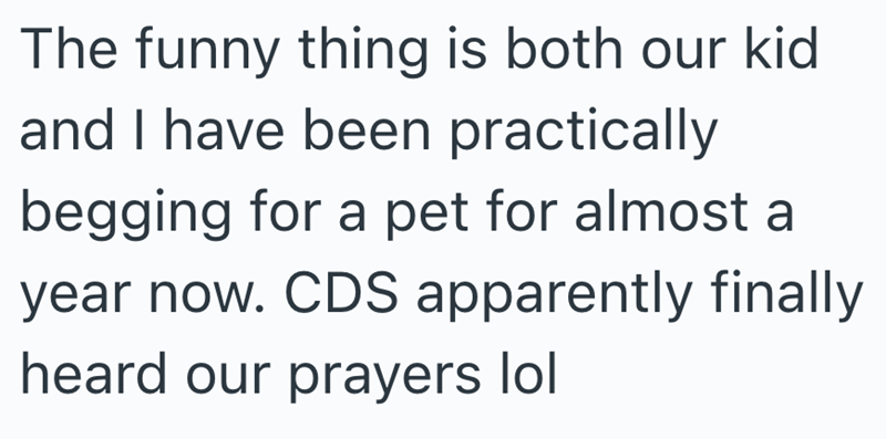 The funny thing is both our kid and I have been practically begging for a pet for almost a year now. CDS apparently finally heard our prayers lol
