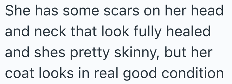 She has some scars on her head and neck that look fully healed and shes pretty skinny, but her coat looks in real good condition