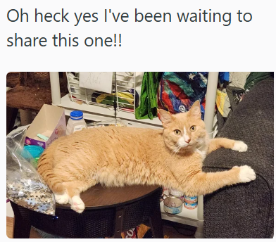 Oh heck yes I've been waiting to share this one!!