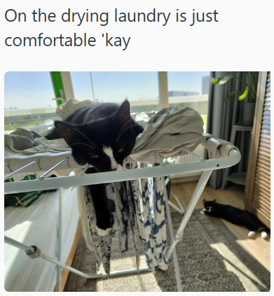 On the drying laundry is just comfortable 'kay