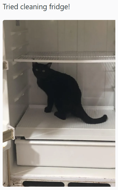 Tried cleaning fridge!