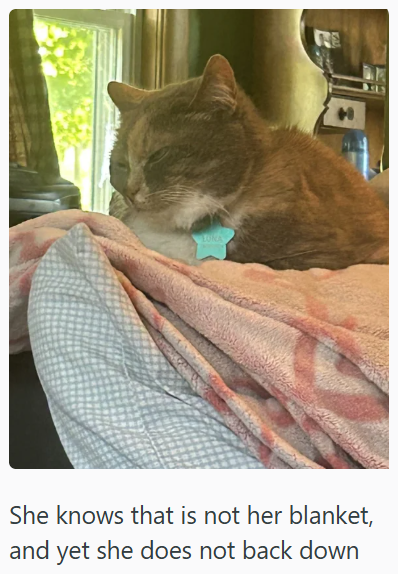 NE " She knows that is not her blanket, and yet she does not back down