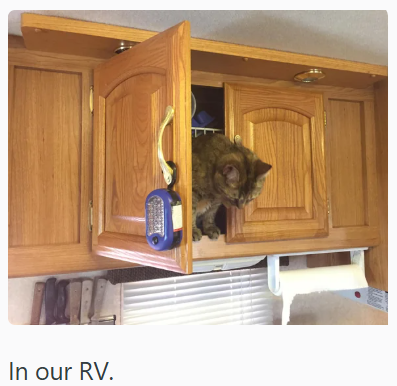 In our RV.