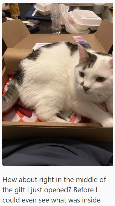 How about right in the middle of the gift I just opened? Before I could even see what was inside