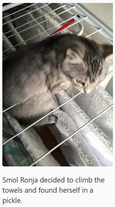 Smol Ronja decided to climb the towels and found herself in a pickle.