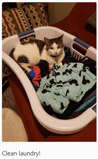 Clean laundry!
