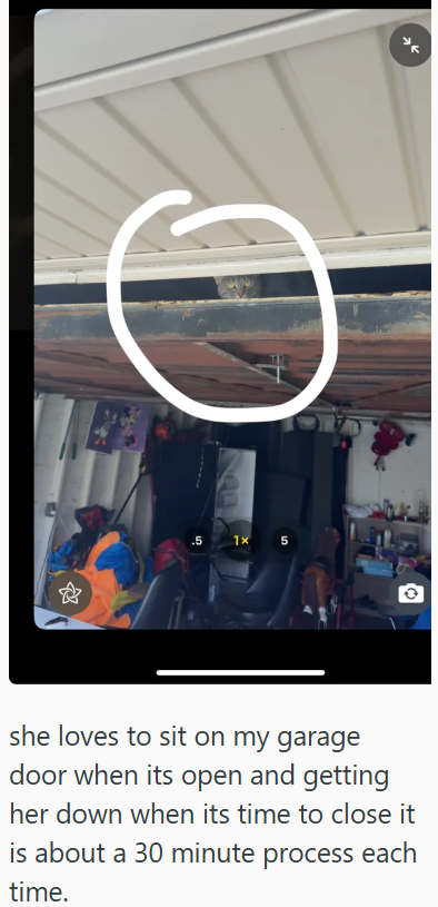 .5 1x 5 උ she loves to sit on my garage door when its open and getting her down when its time to close it is about a 30 minute process each time.