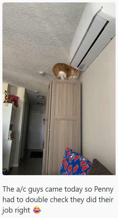 The a/c guys came today so Penny had to double check they did their job right