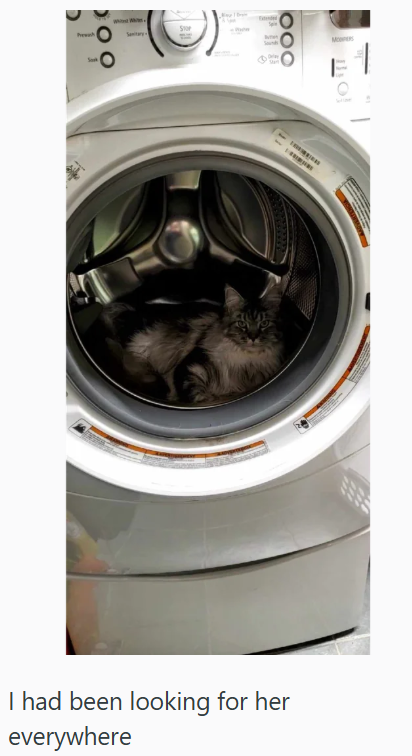Prewash STOP M O! I had been looking for her everywhere