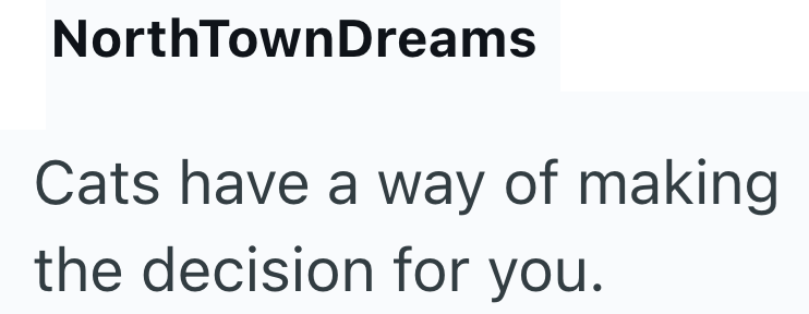 NorthTownDreams Cats have a way of making the decision for you.