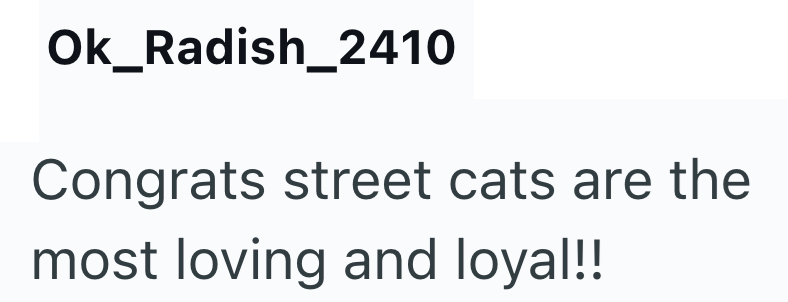 Ok_Radish_2410 Congrats street cats are the most loving and loyal!!