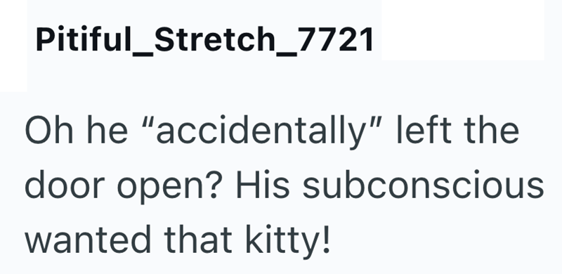Pitiful_Stretch_7721 Oh he "accidentally" left the door open? His subconscious wanted that kitty!