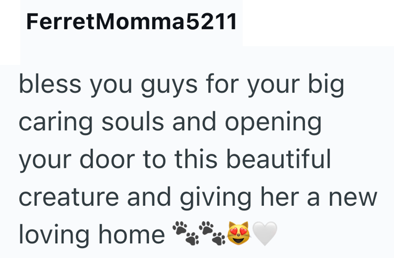FerretMomma5211 bless you guys for your big caring souls and opening your door to this beautiful creature and giving her a new loving home