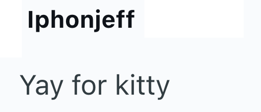 Iphonjeff Yay for kitty