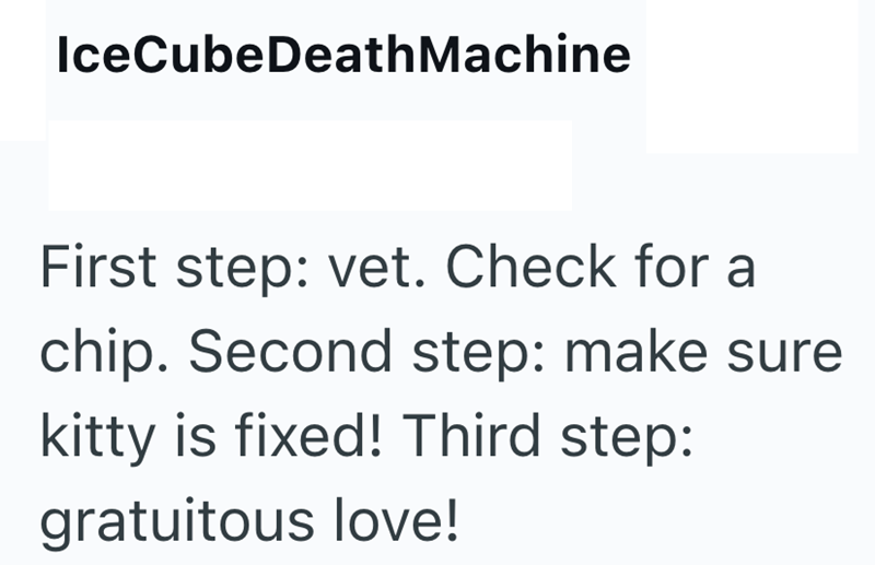 IceCubeDeathMachine First step: vet. Check for a chip. Second step: make sure kitty is fixed! Third step: gratuitous love!