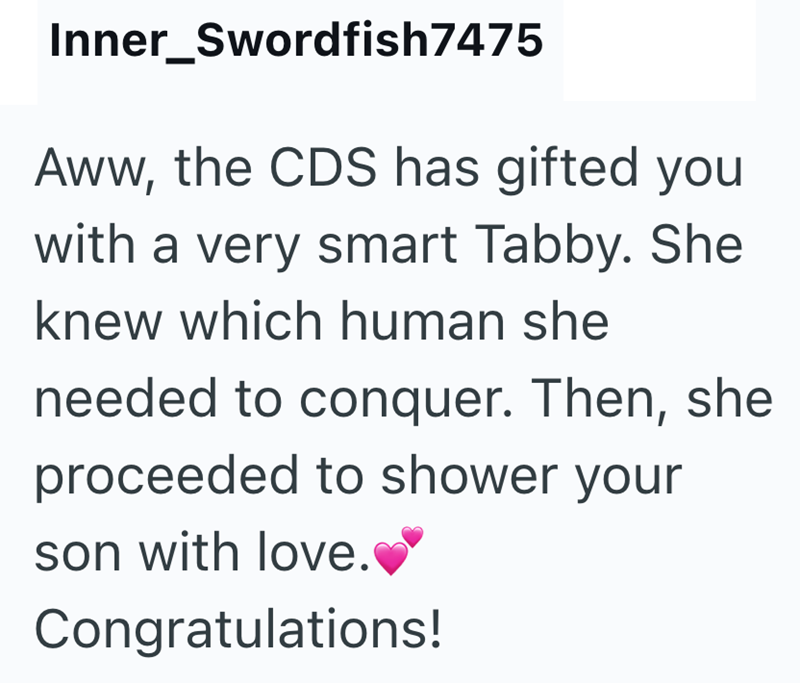 Inner_Swordfish7475 Aww, the CDS has gifted you with a very smart Tabby. She knew which human she needed to conquer. Then, she proceeded to shower your son with love. Congratulations!