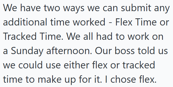 We have two ways we can submit any additional time worked - Flex Time or Tracked Time. We all had to work on a Sunday afternoon. Our boss told us we could use either flex or tracked time to make up for it. I chose flex.