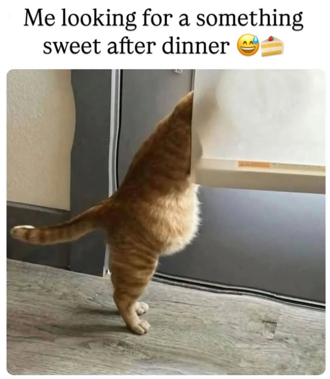 Me looking for a something sweet after dinner