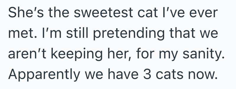She's the sweetest cat I've ever met. I'm still pretending that we aren't keeping her, for my sanity. Apparently we have 3 cats now.
