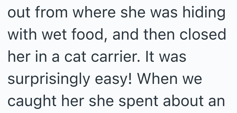 out from where she was hiding with wet food, and then closed her in a cat carrier. It was surprisingly easy! When we caught her she spent about an