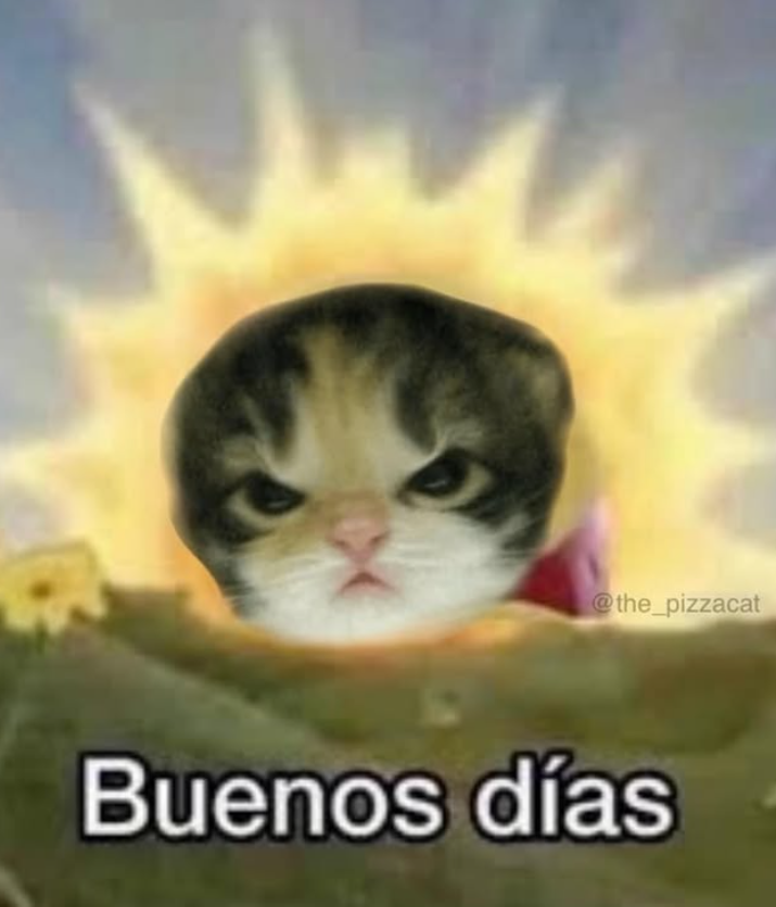 @the_pizzacat Buenos días
