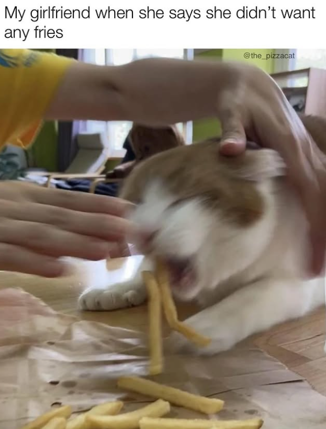 My girlfriend when she says she didn't want any fries @the_pizzacat