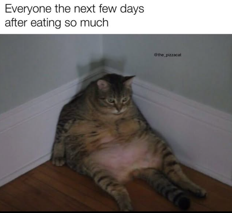 Everyone the next few days after eating so much @the_pizzacat