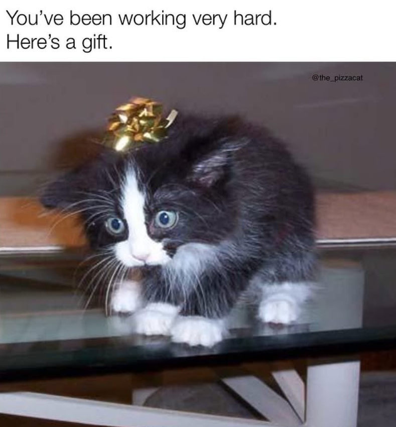 You've been working very hard. Here's a gift. @the_pizzacat