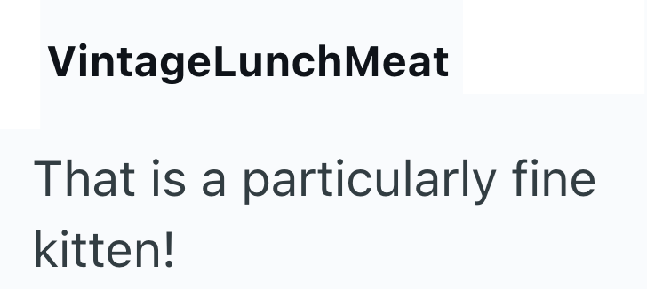 VintageLunch Meat That is a particularly fine kitten!