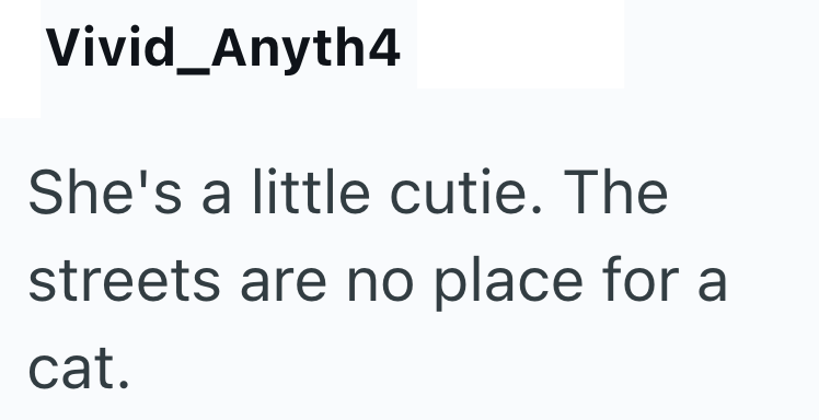 Vivid_Anyth4 She's a little cutie. The streets are no place for a cat.