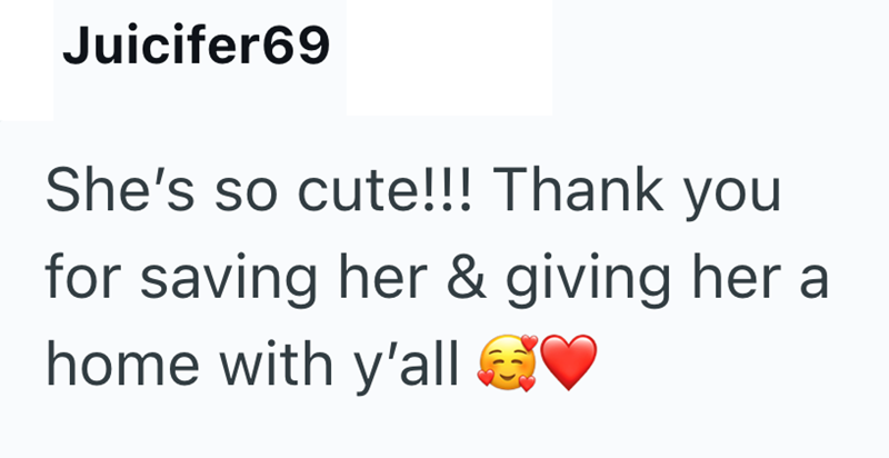 Juicifer69 She's so cute!!! Thank you for saving her & giving her a home with y'all